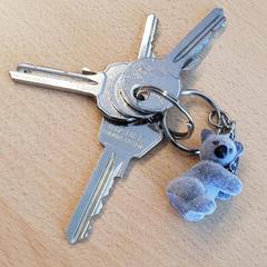 Keychain, as reported by Schiphol Airport (Kelderplein) using iLost