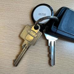 Car key, as reported by Demo account IKEA Global using iLost