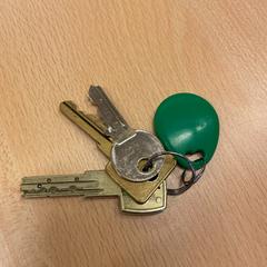 Keychain, as reported by Schiphol Kelderplein (Lost and Found) using iLost