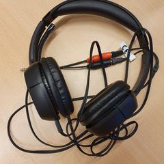 Headphones, as reported by Demo account using iLost
