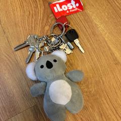 Keys, as reported by Hotel Demo | EN (Item-Publication) using iLost